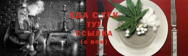 МДПВ Инсар