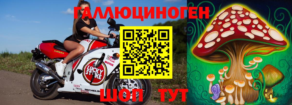 Псилоцибиновые грибы мицелий Апрелевка