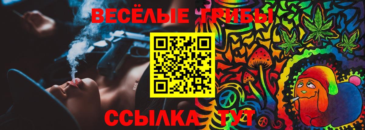 Апрелевка  закладка  Вход с VPN  Галлюциногенные грибы Psilocybine cubensis 